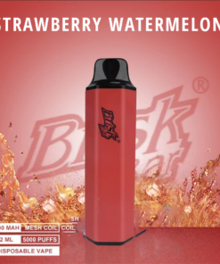 BRISK BAR STRAWBERRY WATERMELON – 5000 PUFFS