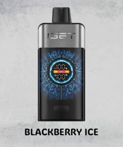 BLACKBERRY ICE – IGET ONE – 12000 PUFFS