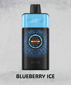 BLUEBERRY ICE – IGET ONE – 12000 PUFFS