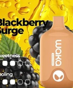 WAKA SMASH BLACKBERRY SURGE – 6000 PUFFS