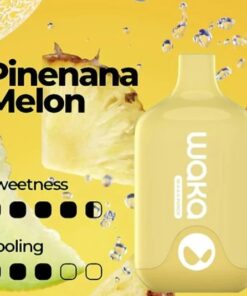 WAKA SMASH PINEAPPLE MELON – 6000 PUFFS