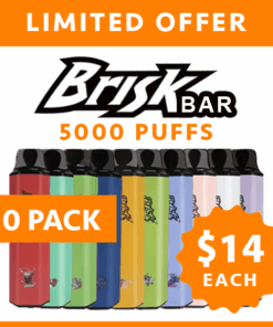 BRISK BAR – 5000 PUFFS – 10 PACK