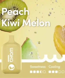WAKA SMASH PEACH KIWI MELON – 6000 PUFFS